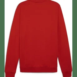 teamGOAL Casuals Crew Neck Herren Sweatshirt