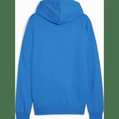 teamGOAL Casuals Hooded Herren Sweatshirt