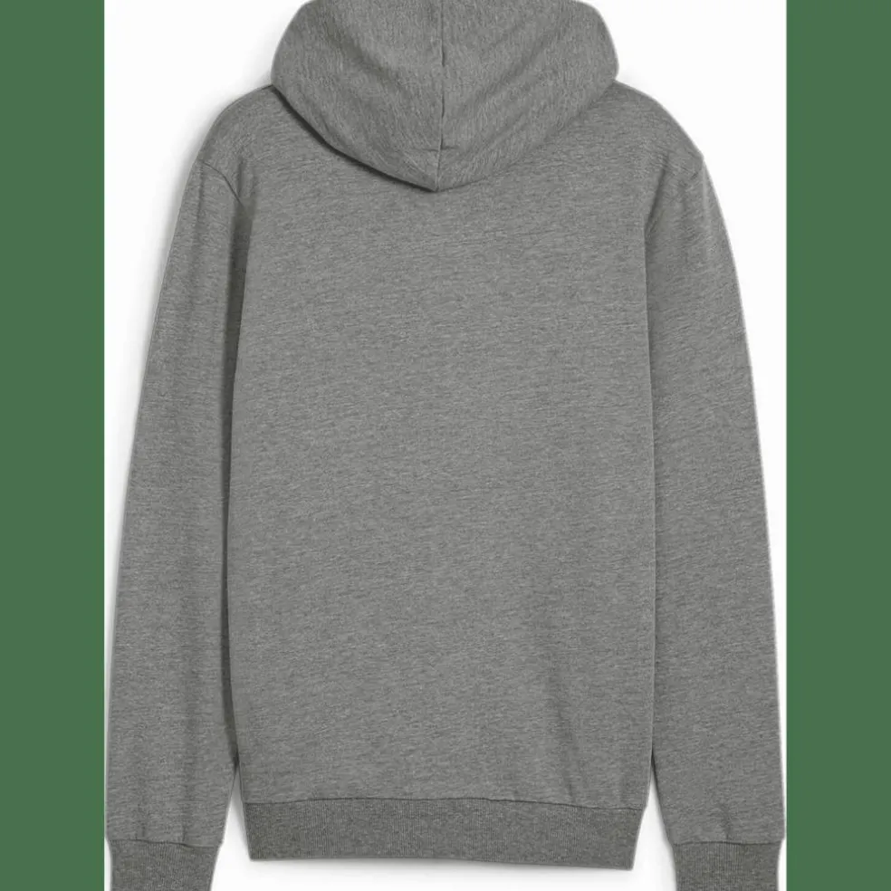 teamGOAL Casuals Hooded Herren Sweatshirt