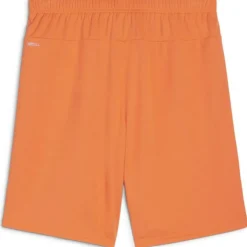 teamGOAL Herren Shorts