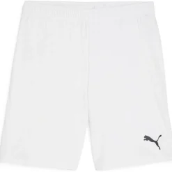 teamGOAL Herren Shorts