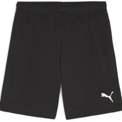 teamGOAL Herren Shorts