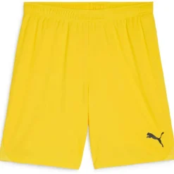 teamGOAL Herren Shorts