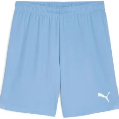 teamGOAL Herren Shorts