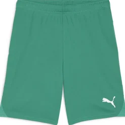 teamGOAL Herren Shorts