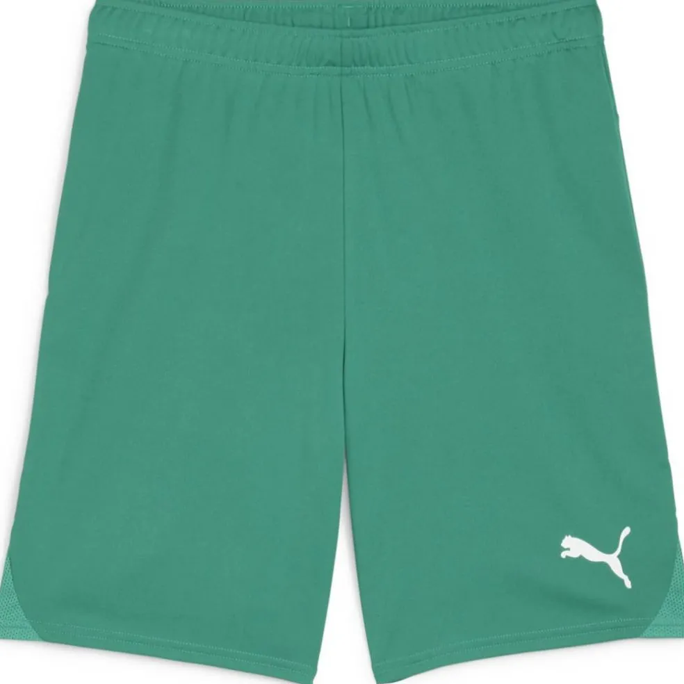 teamGOAL Herren Shorts
