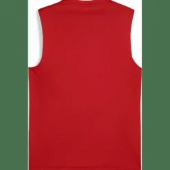 teamGOAL Herren T-Shirt