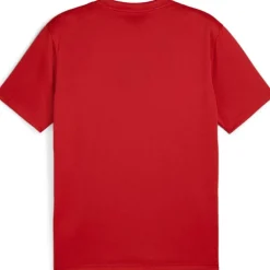 teamGOAL Herren T-Shirt