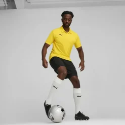 teamGOAL 2in1 Herren Shorts
