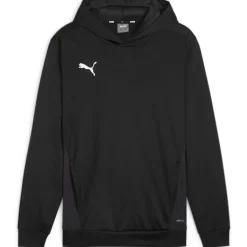teamGOAL Training Herren Kapuzensweater
