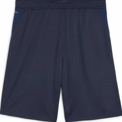 teamGOAL Training Herren Shorts
