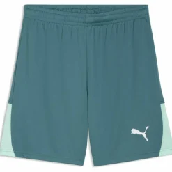 Teamliga26 Herren Shorts