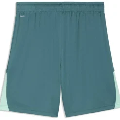 Teamliga26 Herren Shorts