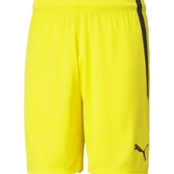 TeamLIGA Herren Shorts