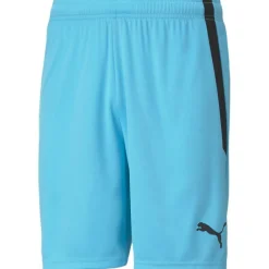 TeamLIGA Herren Shorts