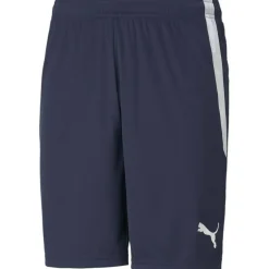 TeamLIGA Herren Shorts