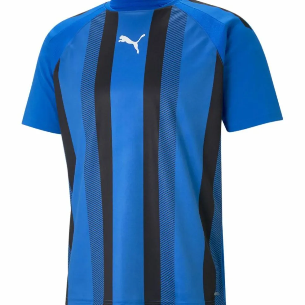 TeamLIGA Striped Herren T-Shirt