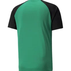 TeamPACER Herren T-Shirt