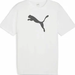 teamRISE Logo Cotton Herren T-Shirt