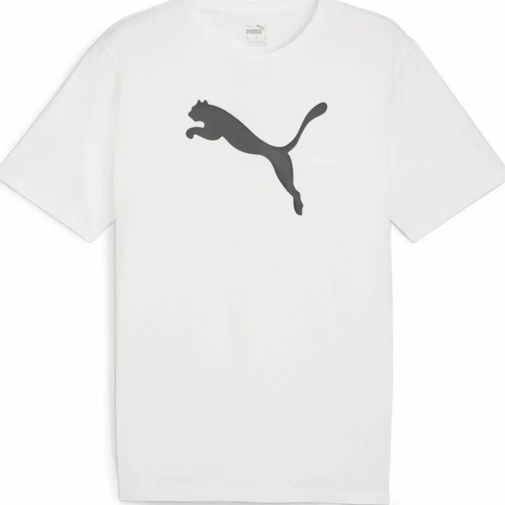teamRISE Logo Cotton Herren T-Shirt