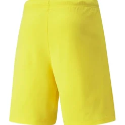 TeamRISE Short Herren Shorts