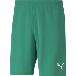 TeamRISE Short Herren Shorts
