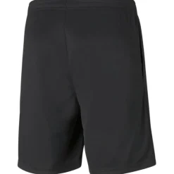 TeamRISE Training Herren Shorts
