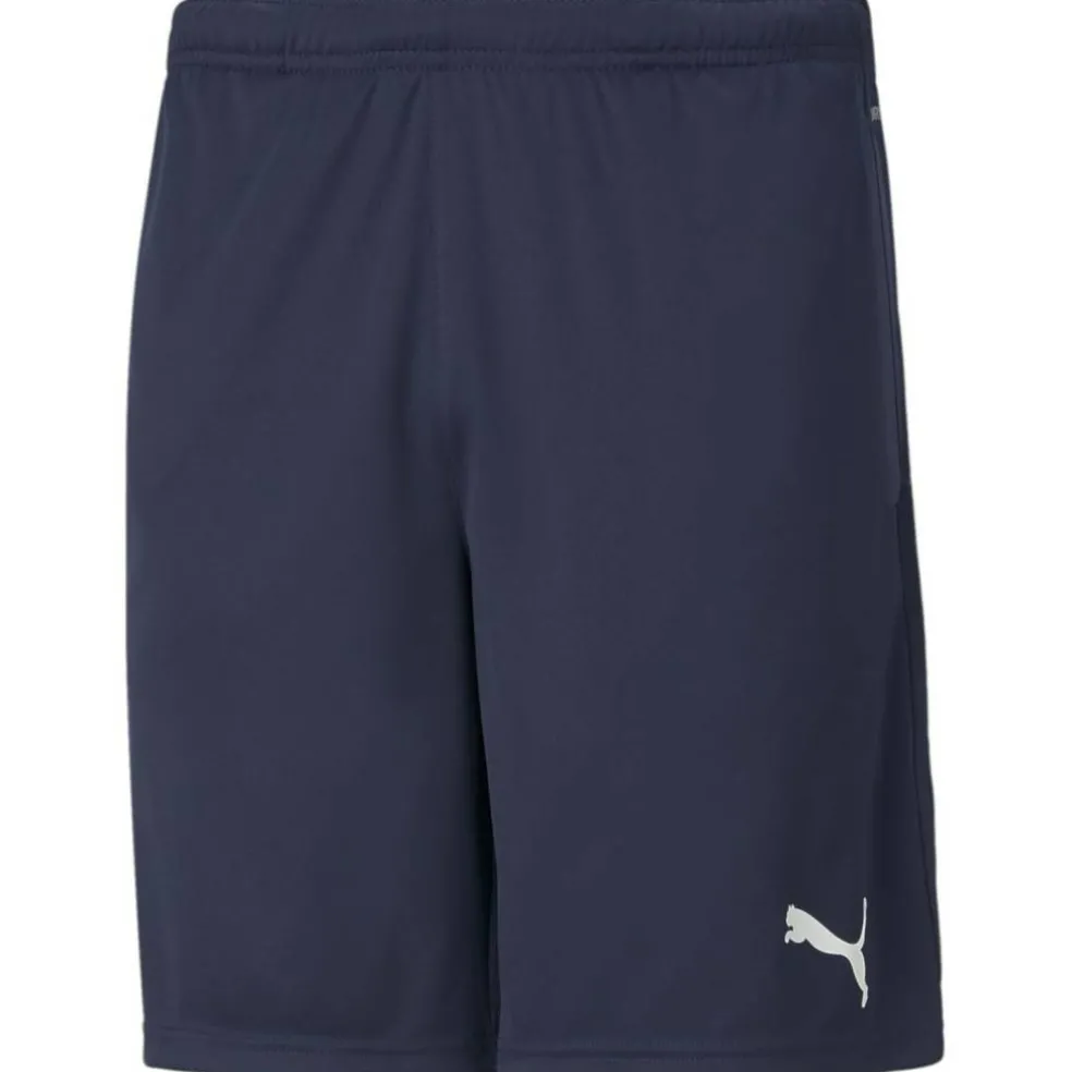 TeamRISE Training Herren Shorts
