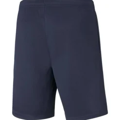 TeamRISE Training Herren Shorts