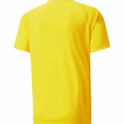 TeamVISION Herren T-Shirt