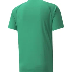 TeamVISION Herren T-Shirt