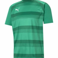 TeamVISION Herren T-Shirt