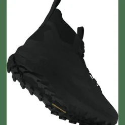 Terrex Free Hiker 2 GTX Herren Multifunktionsschuhe