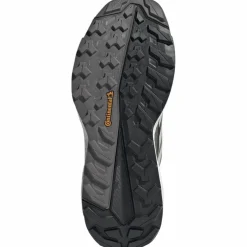 Terrex Free Hiker 2 Low GTX Damen Multifunktionsschuhe