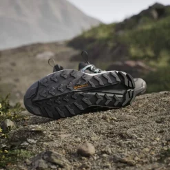 Terrex Free Hiker 2 Low GTX Damen Multifunktionsschuhe