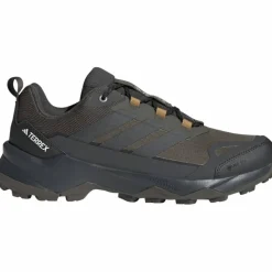 Terrex Skychaser AX5 GTX Herren Multifunktionsschuhe