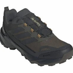 Terrex Skychaser AX5 GTX Herren Multifunktionsschuhe