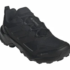 Terrex Skychaser AX5 GTX Herren Multifunktionsschuhe