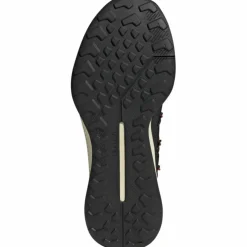 Terrex Voyager 21 Travel Schuh Herren Multifunktionsschuhe