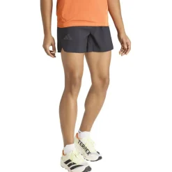 Terrex Xperior Clima365 5inch Herren Shorts