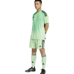 Tiro 25 Competition Goalkeeper Herren Torwarttrikot