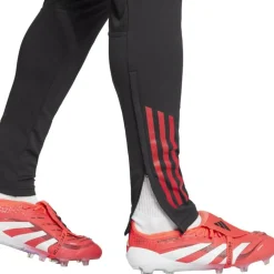Tiro 25 Competition Herren Trainingshose