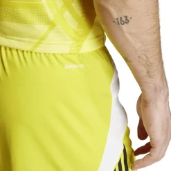Tiro 24 Herren Shorts