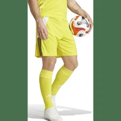 Tiro 24 Herren Shorts