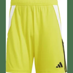 Tiro 24 Herren Shorts