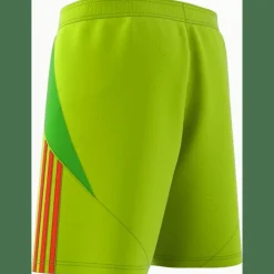Tiro 24 Herren Shorts
