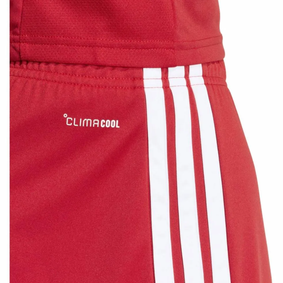 Tiro26 League Herren Shorts