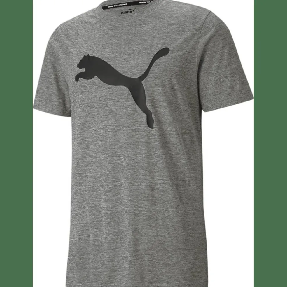 Train FAV Heather CAT SS TEE Herren T-Shirt