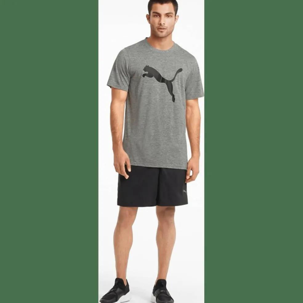 Train FAV Heather CAT SS TEE Herren T-Shirt