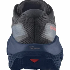 Ultra Flow 2 GTX Herren Trailrunningschuhe